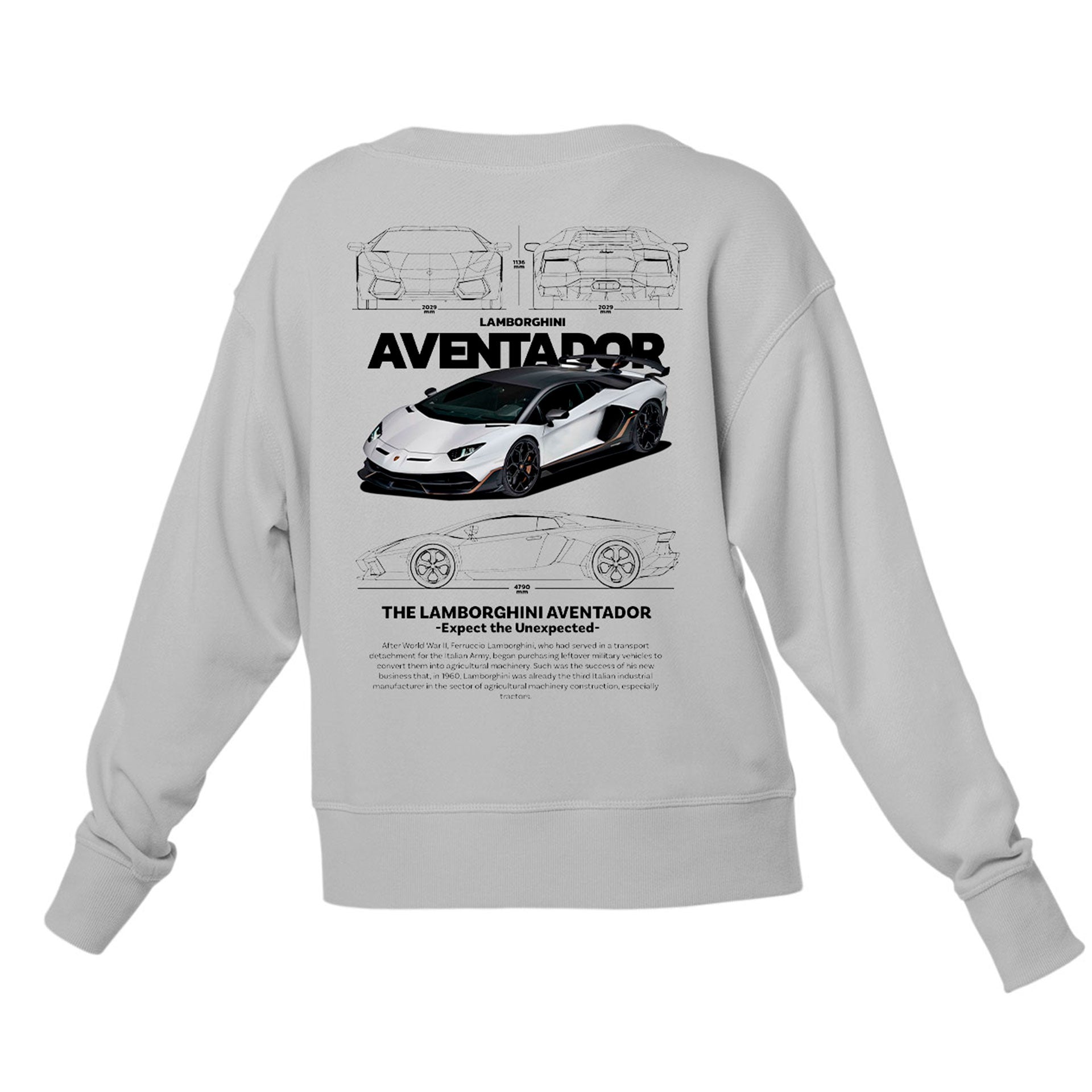 Moletom Gola Redonda Unissex Lamborghini Aventador WHITE V-CINZA